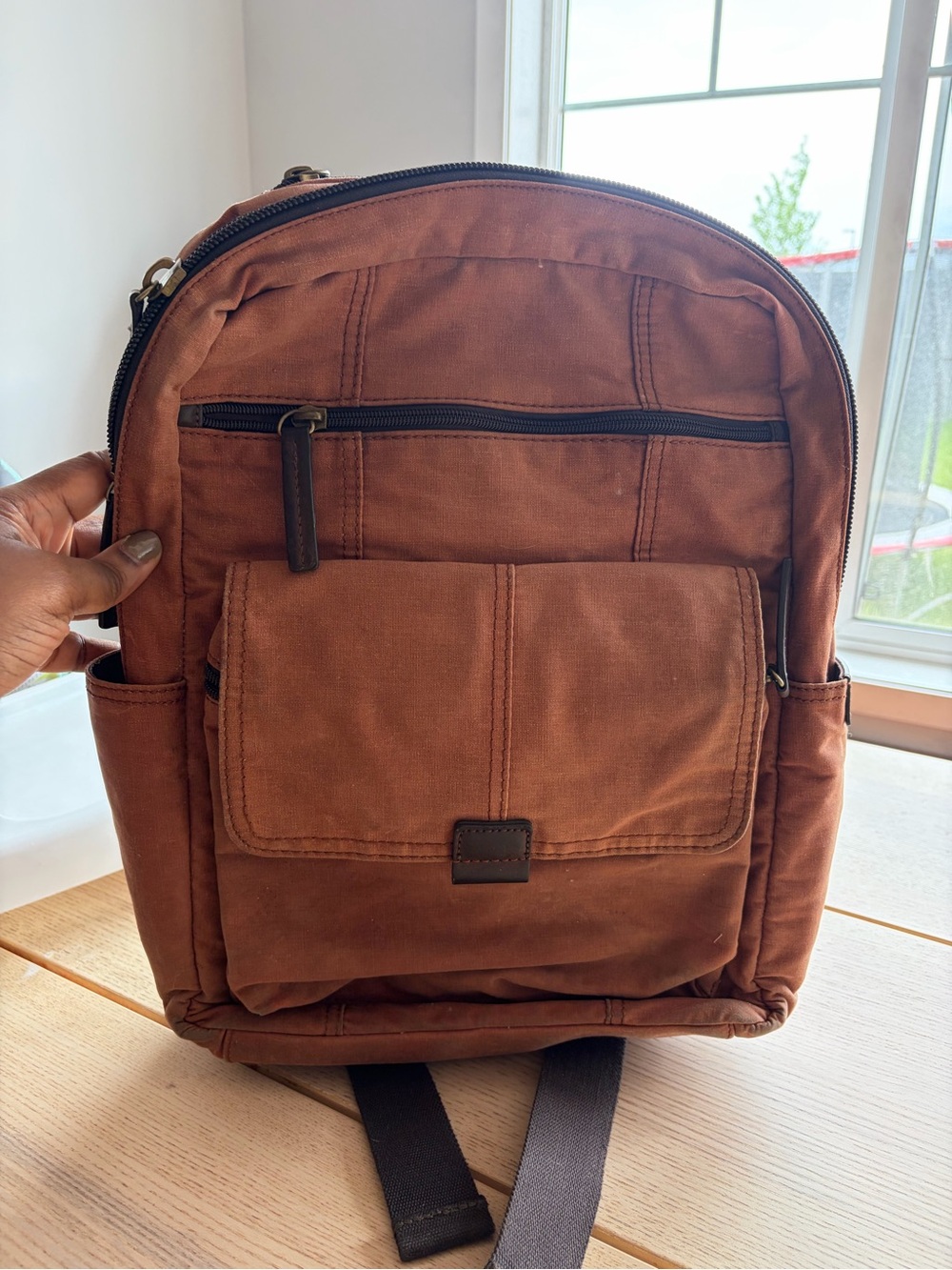 Fossils Men's Canvas Backpack in Brown -